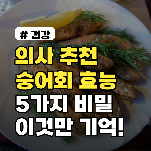 의사들이 추천하는 숭어회 효능 5가지, 이것만 기억하세요!