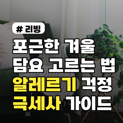 포근한 겨울 담요, 알레르기 걱정 없이 고르는 완벽 가이드