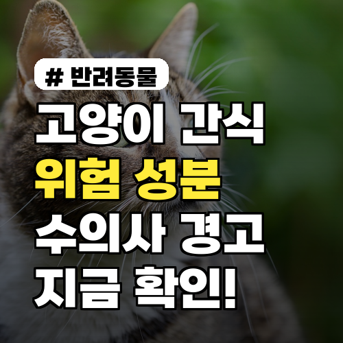 고양이 간식 위험 성분, 수의사 경고 리스트 확인하세요!