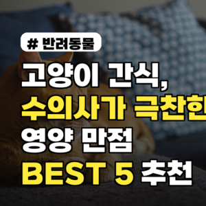 수의사가 극찬한 고양이 간식 BEST 5: 영양 만점 선택 가이드