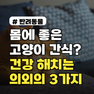 고양이 건강 해치는 의외의 간식 3가지: 우리 아이에게 괜찮을까?