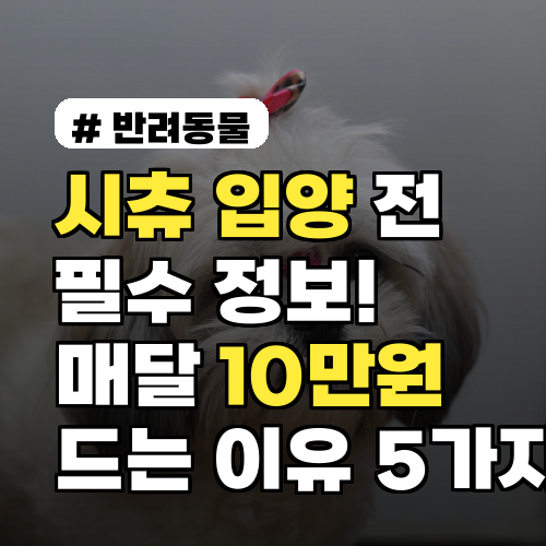 시츄 입양 전 필수! 매달 10만원 드는 이유 5가지