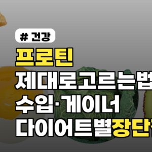 프로틴 제대로 고르는 법: 수입·게이너·다이어트별 장단점