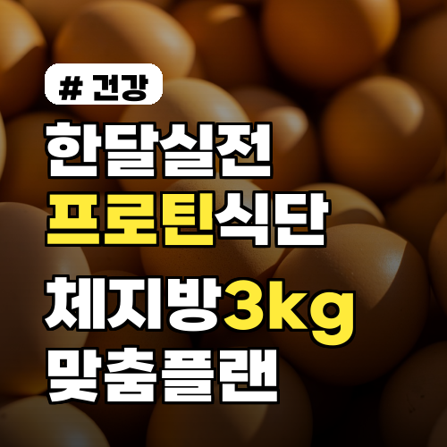프로틴 다이어트 한달 플랜으로 체지방 3kg 감량하기