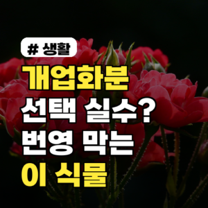 개업화분 성공 비법: 번영 막는 ‘이 식물’ 피해야 하는 이유