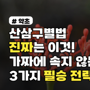 산삼구별법: 진짜는 ‘이것’! 가짜 판별 3가지 필승 전략