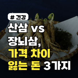 산삼 vs 장뇌삼: 가격 차이와 숨겨진 손해 3가지