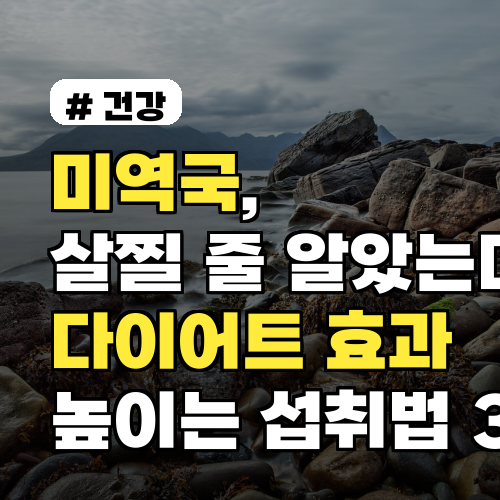 미역국, 살찔 줄 알았는데? 다이어트 효과 높이는 섭취법 3가지