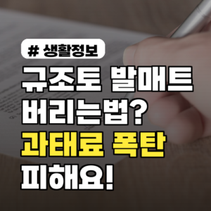 규조토 발매트 버리는법: 과태료 피하는 완벽 가이드