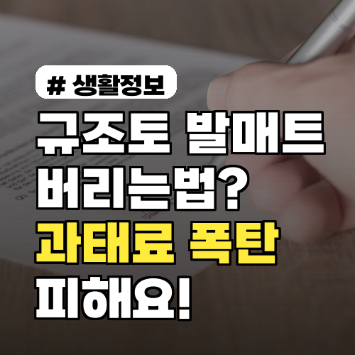 규조토 발매트 버리는법: 과태료 피하는 완벽 가이드