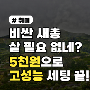비싼 새총 살 필요 없네? 5천원으로 고성능 새총 세팅 끝!