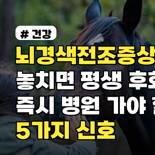 뇌경색전조증상 놓치면 평생 후회! 즉시 병원 가야 할 5가지 신호