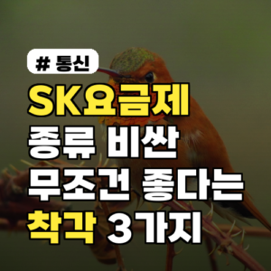 SKT 요금제 종류, 비싸다고 다 좋을까? 착각 3가지