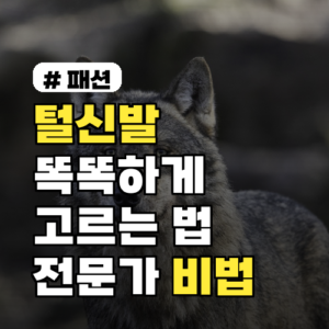 털신발 고르는 비법: 전문가가 알려주는 3가지 핵심 포인트