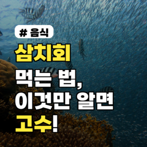 삼치회 먹는 법, 비린 맛 없이 고수처럼 즐기는 꿀팁 3가지