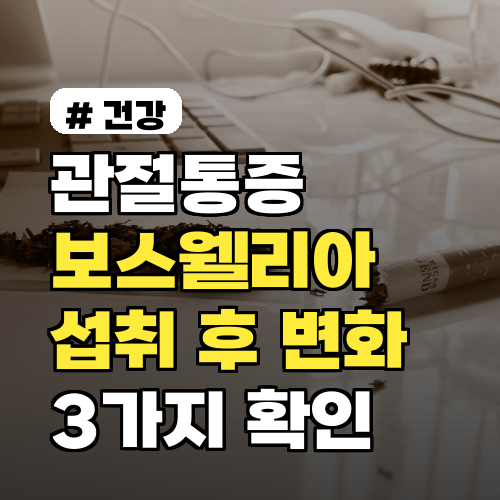 관절통증 완화! 보스웰리아 섭취 후 나타나는 변화 3가지