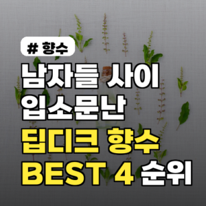 남자 딥디크 향수: 입소문난 BEST 4 순위와 선택 가이드