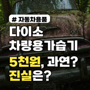 다이소 차량용가습기 5천원, 진짜 가성비 끝판왕일까? 진실은?