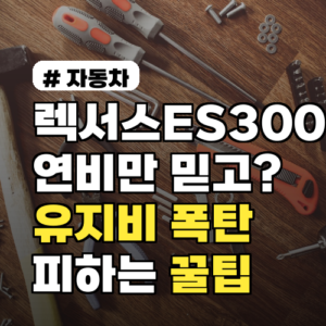 렉서스 ES300H 연비만 보고? 유지비 폭탄 피할 꿀팁 3가지