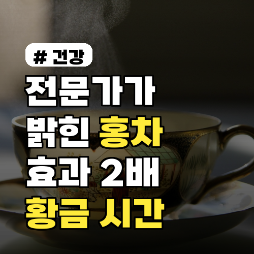 홍차 효과 2배 늘리는 황금 시간 3가지: 전문가 팁