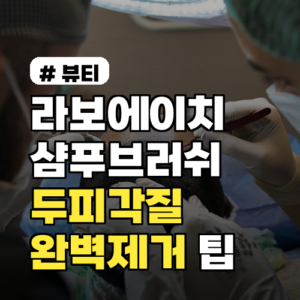 라보에이치 샴푸브러쉬로 두피 각질 10분 완벽 제거 팁