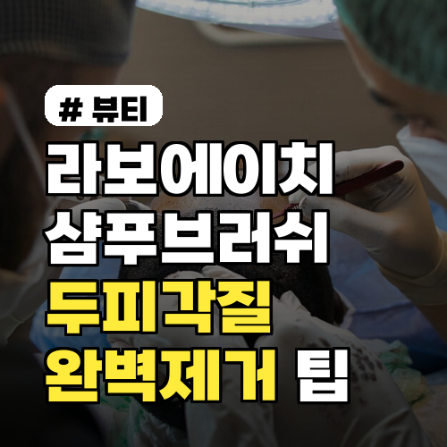 라보에이치 샴푸브러쉬로 두피 각질 10분 완벽 제거 팁