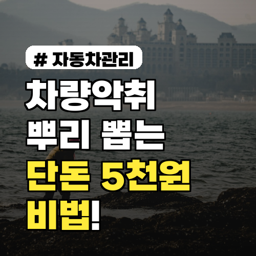 차량 악취, 냄새만 덮지 마세요! 단돈 5천원 해결 비법