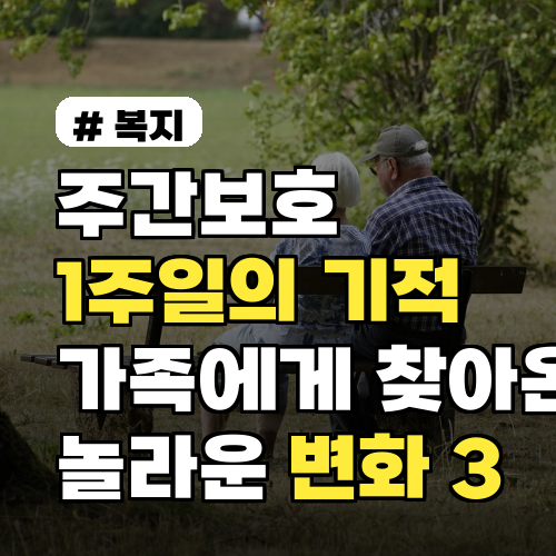 주간보호센터 1주일: 가족 삶 바꾼 3가지 놀라운 변화
