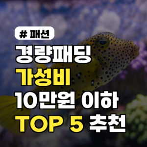 경량패딩 브랜드, 10만원 이하 가성비 TOP 5 추천