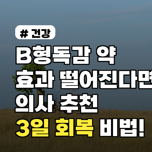 B형독감 약 효과 떨어질 때? 의사 추천 3일 회복 비법!