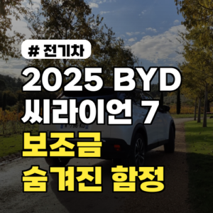 2025 BYD 씨라이언 7 보조금, 놓치면 후회할 함정 분석
