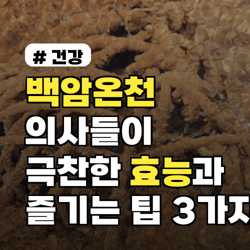 백암온천, 의사들이 극찬한 숨겨진 효능과 즐기는 팁 3가지