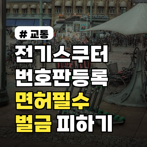 전기스쿠터 번호판 등록, 면허 필수! 벌금 피하는 법