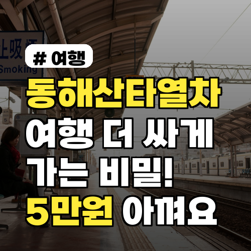 동해산타열차 여행, 1인당 5만원 아끼는 절약 팁