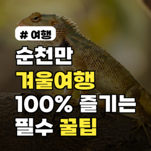 순천만국가정원 겨울여행, 100% 즐기는 필수 꿀팁 5가지!