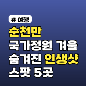 순천만국가정원 겨울, 인생샷 스팟 5곳 완전 정복!