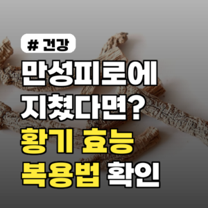 만성피로 황기 효능 극대화 복용법, 이것만 알면 끝!