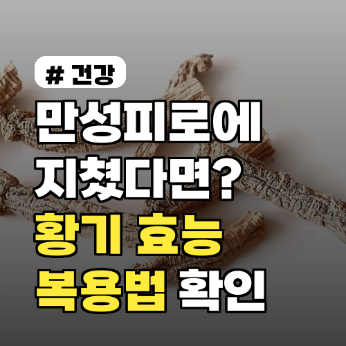만성피로 황기 효능 극대화 복용법, 이것만 알면 끝!