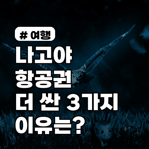 나고야 항공권: 부산/청주 출발이 의외로 싼 3가지 이유