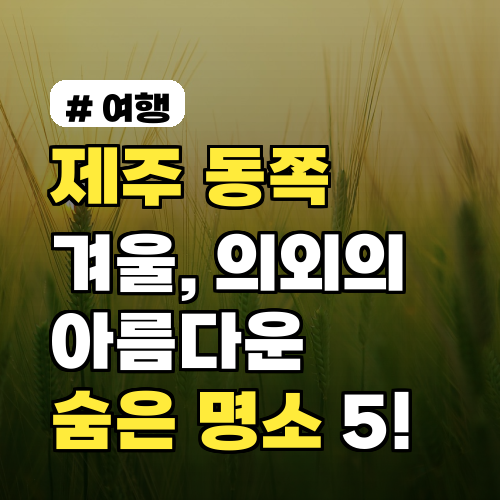 제주 동쪽 겨울 숨은 명소 5곳! 낭만 여행 꿀팁