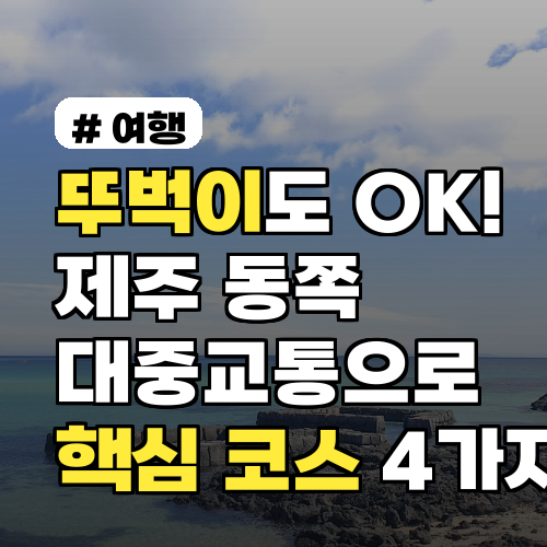 뚜벅이도 문제없어요! 제주 동쪽 대중교통 핵심 코스 4가지