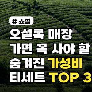 오설록 매장 방문 필수! 가성비 티세트 TOP 3 추천