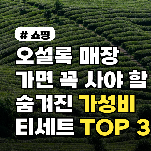 오설록 매장 방문 필수! 가성비 티세트 TOP 3 추천