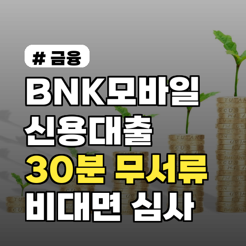 BNK모바일신용대출, 30분 무서류 비대면 신청 방법은?