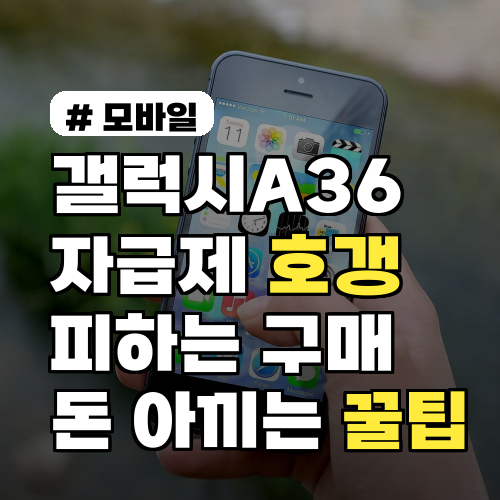 갤럭시A36 자급제, 호갱 피하는 구매 전략 TOP 3