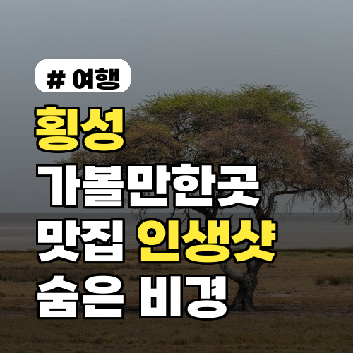 횡성 가볼만한곳: 맛집과 숨은 인생샷 비경 TOP 3