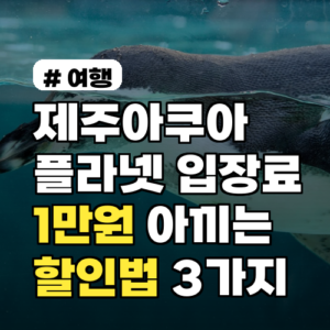 제주아쿠아플라넷 입장료, 1만원 절약 할인 꿀팁 3가지