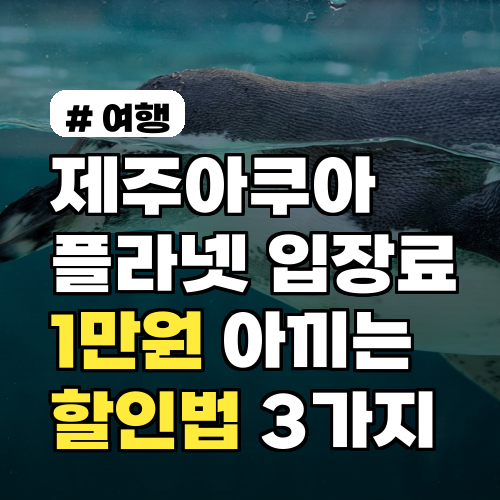 제주아쿠아플라넷 입장료, 1만원 절약 할인 꿀팁 3가지