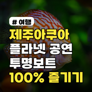 제주아쿠아플라넷 공연 시간표, 투명보트 체험 100% 즐기는 법