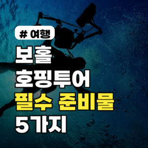 보홀 호핑투어, 성공 위한 필수 준비물 5가지 총정리